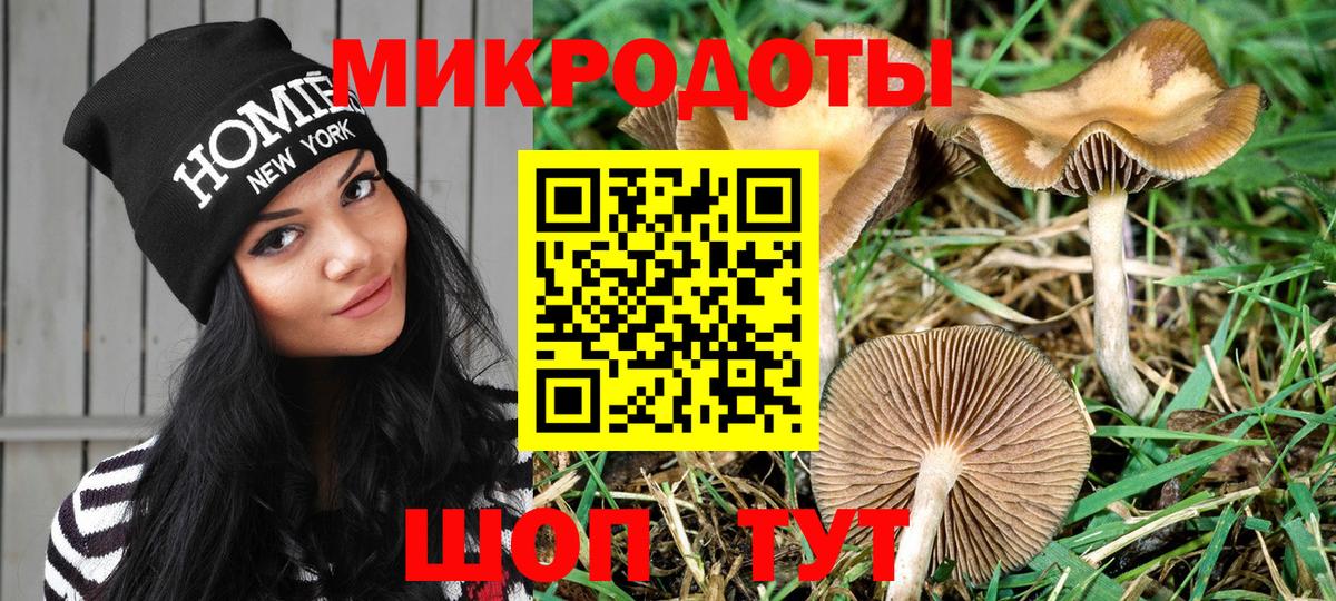 Псилоцибиновые грибы мухоморы  Вход с VPN  Советск  Псилоцибиновые грибы ЛСД 