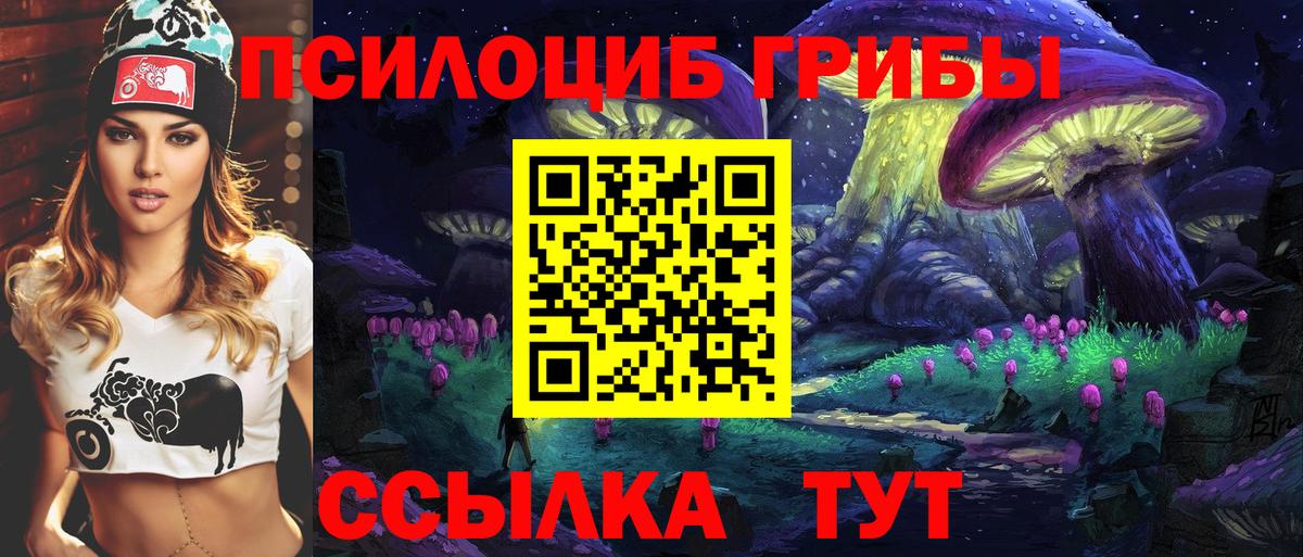 Псилоцибиновые грибы MAGIC MUSHROOMS Советск